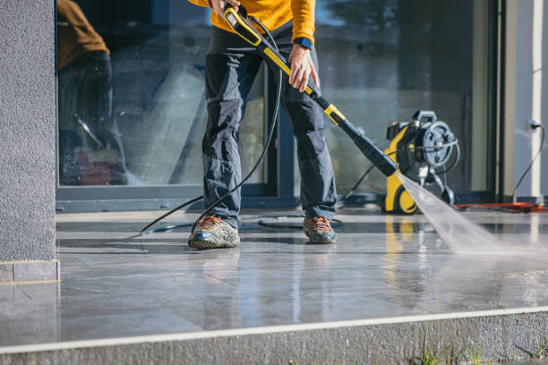 Animal Enclosure Cleaning in On Top Of The World Designated Place, FL