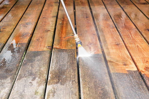 Best Boat and Dock Cleaning  in On Top Of The World Designated Place, FL